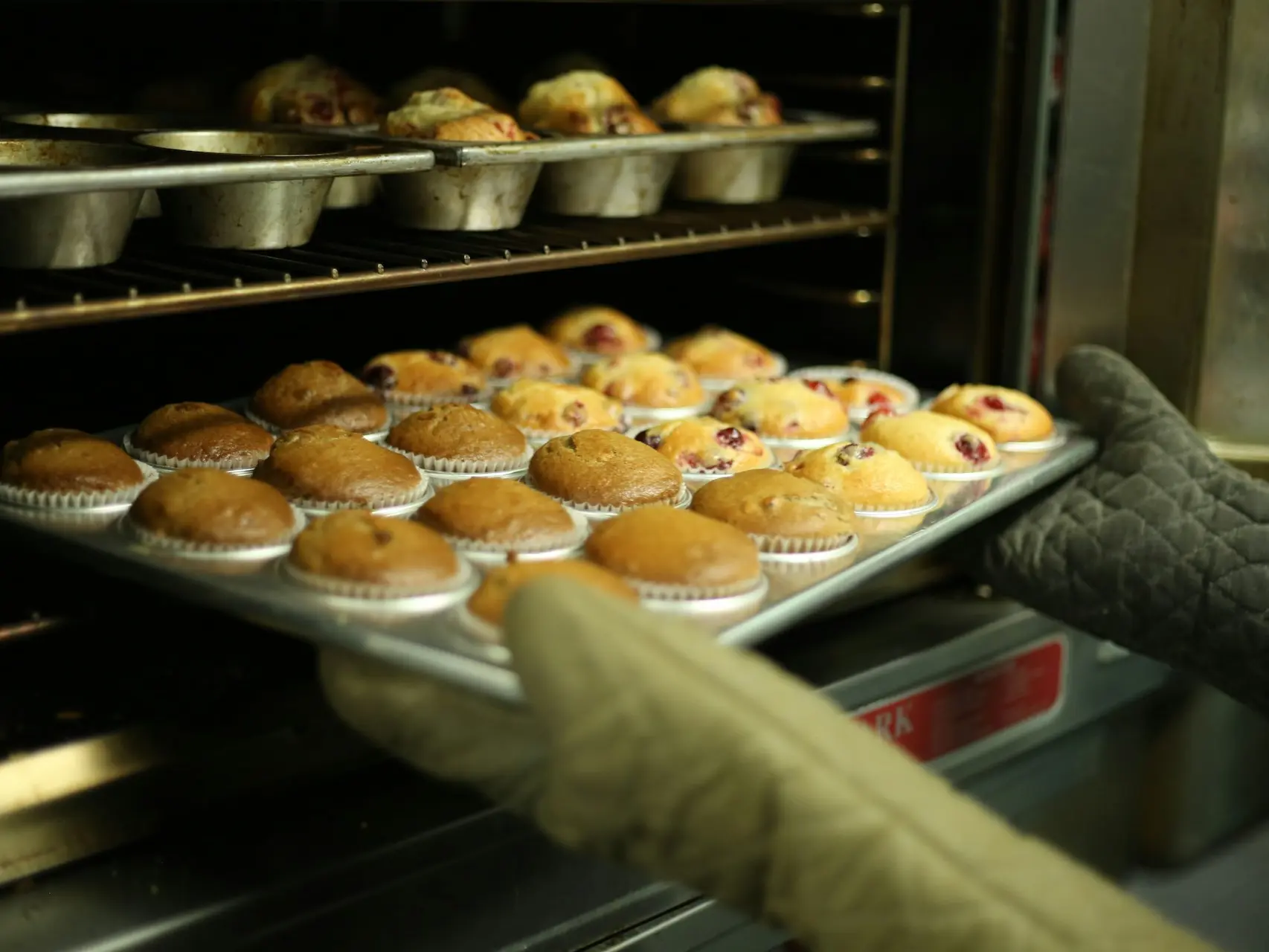 person holds tray of muffins on tray