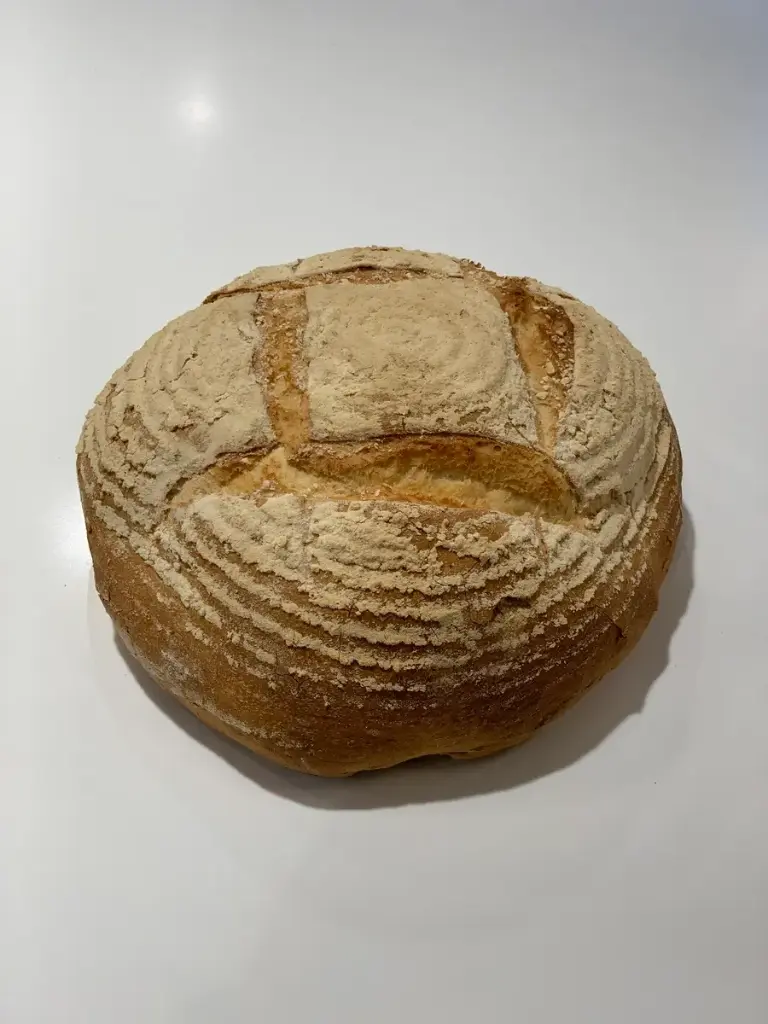 [640] LEVAIN BLANC