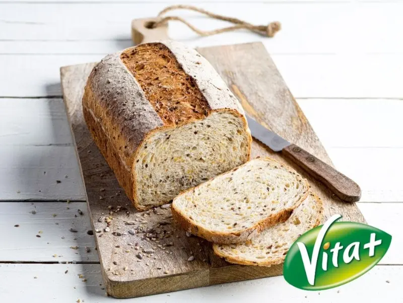 VITA+ GRAINES GERMEES
