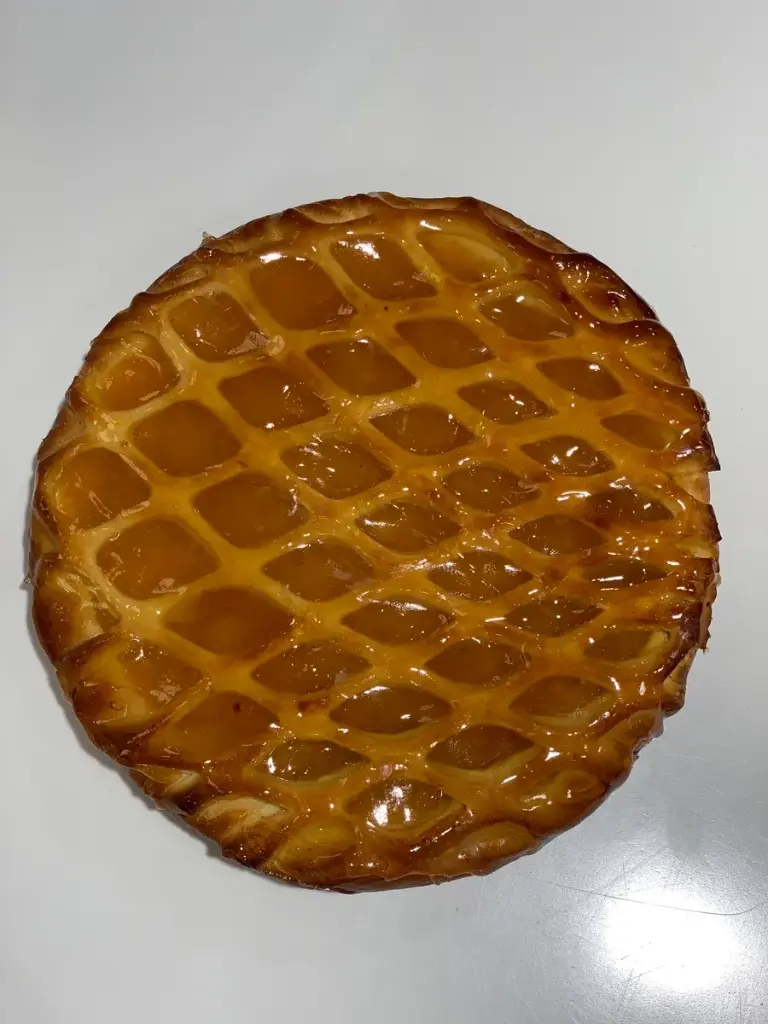 [637] TREILLIS CORIN ABRICOT PETITE