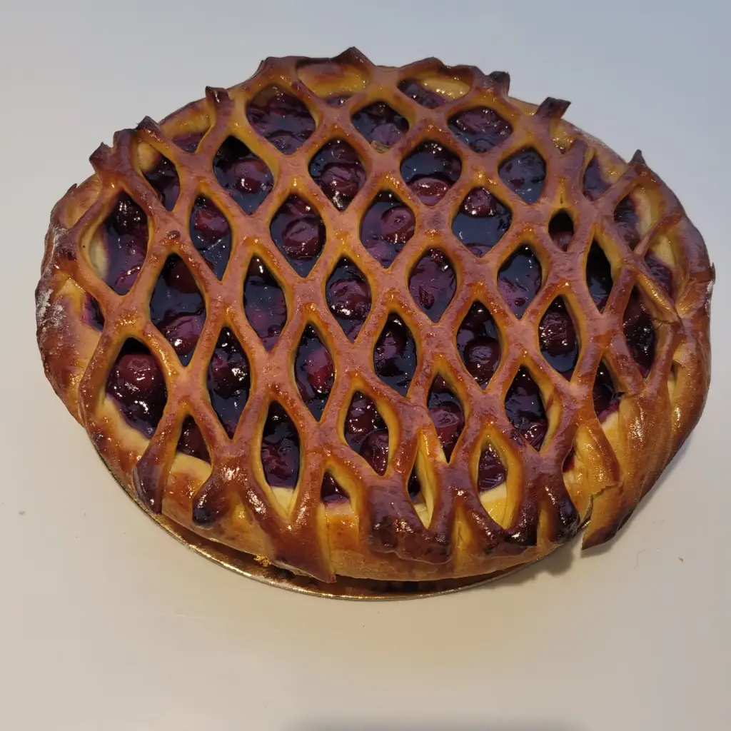 TREILLIS CERISE MOYENNE