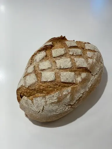 [590] LEVAIN GRIS